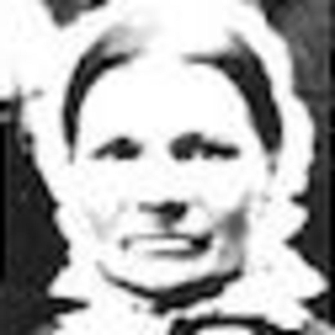 Dorthea Anderson (1811 - 1880) Profile